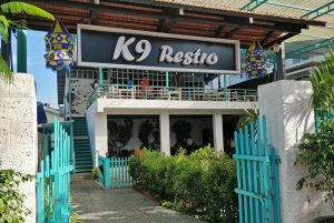 k9-restaurant-Mangalore