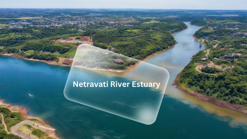 Netravati River Estuary in Mangalore 