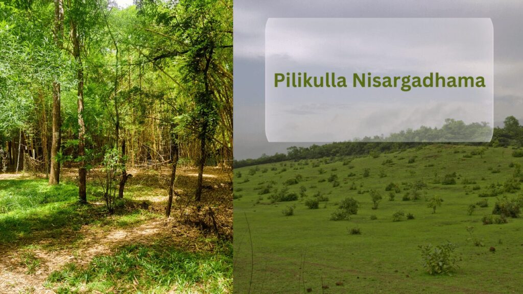 Pilikulla Nisargadhama in Mangalore 