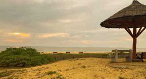 tannirbhavi-beach