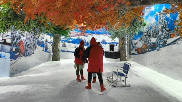 Snow-Fantasy-Mangalore
