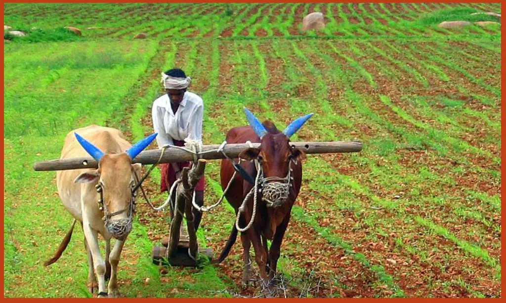 Agricultural Ventures
