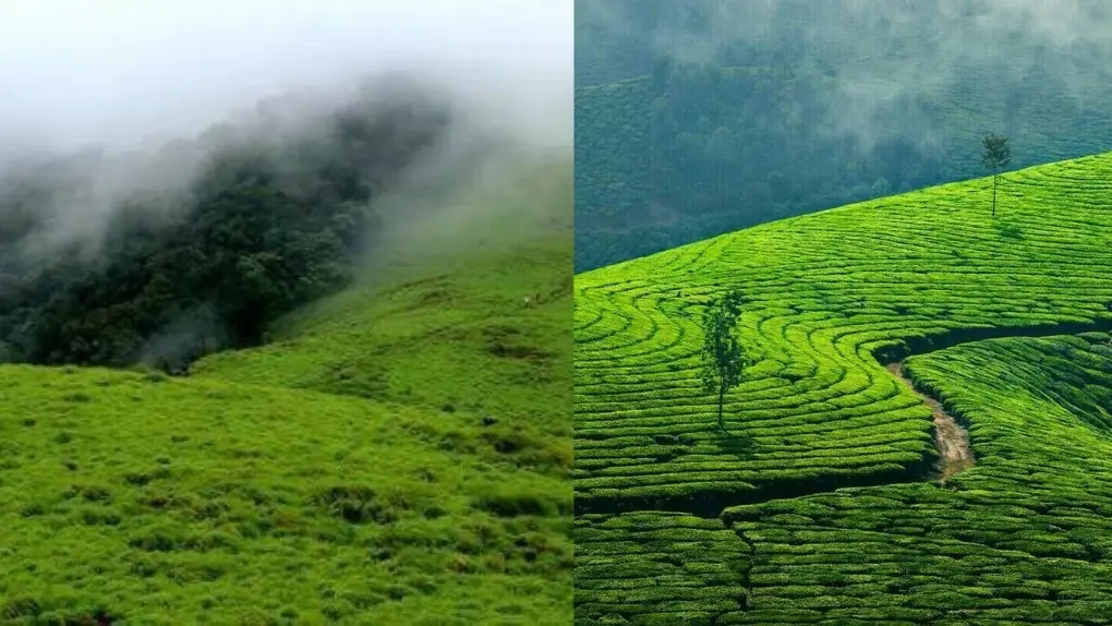 Chikmagalur-to-Mangalore-ghats