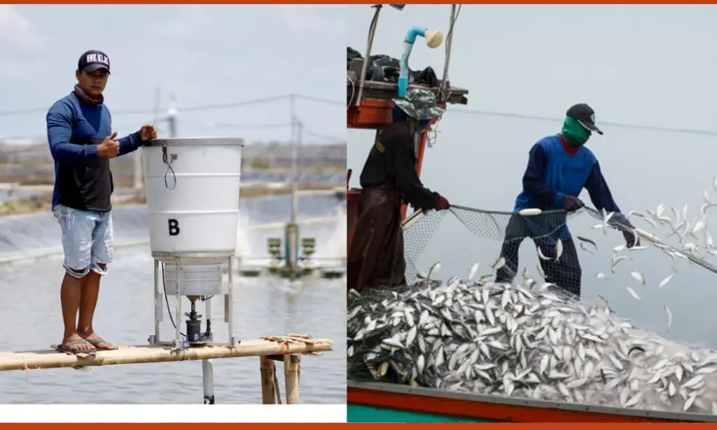 Fishing Industry Ventures